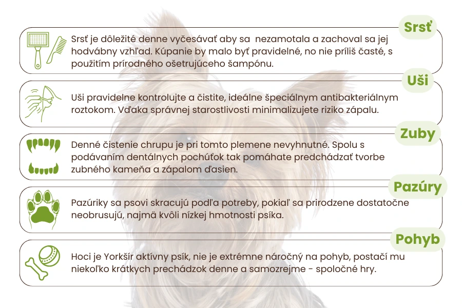 starostlivosť-o-yorkshire-panakei